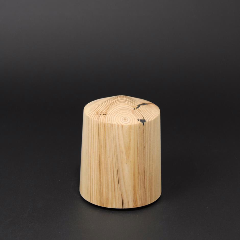 BURGSTALL MINI – Bild 2