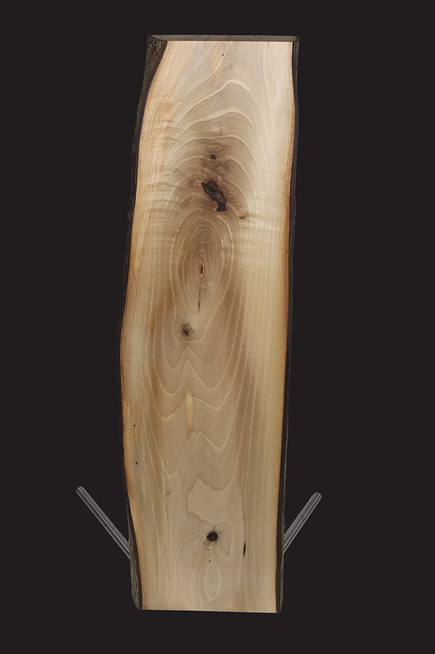 STELE