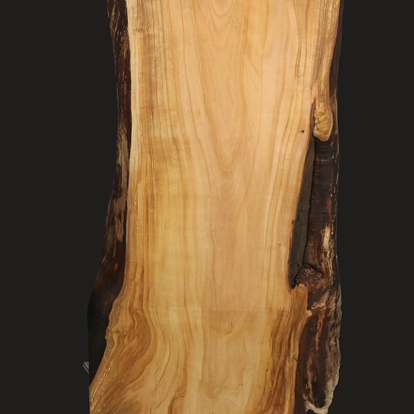 STELE